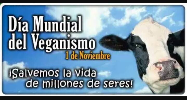 Gente por la Defensa Animal (GEPDA) tweet media