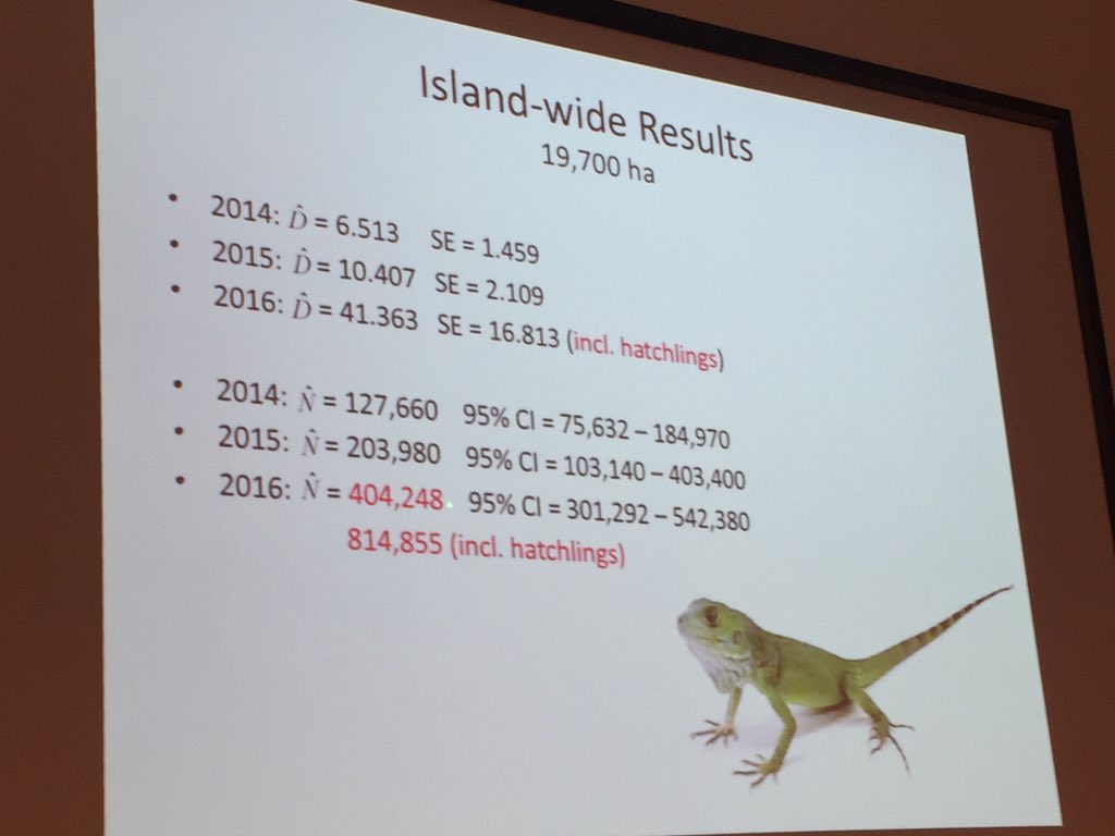 iguanafndn tweet picture