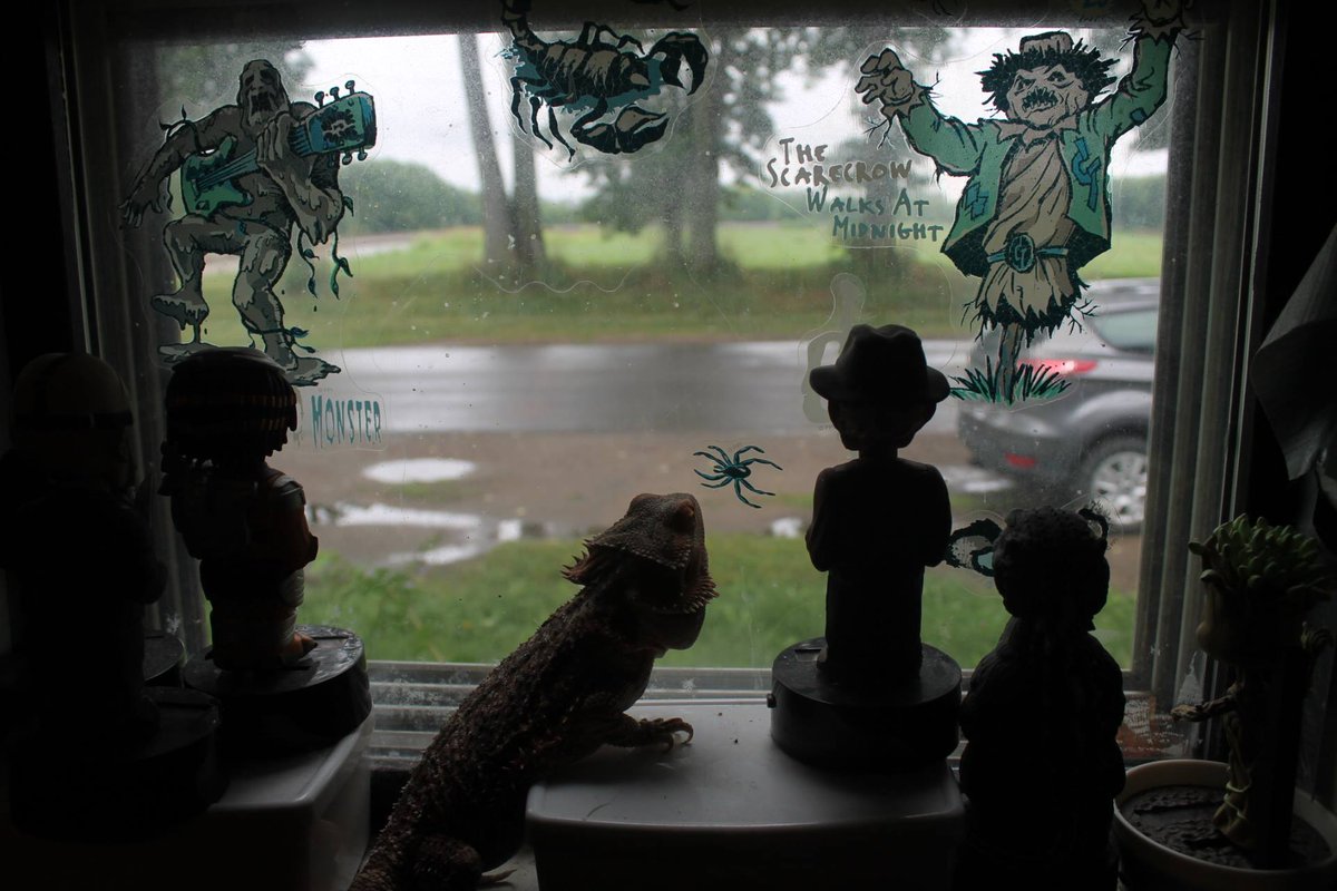 toxinom's tweet photo. "Where is DIO'S @TYTLizard?" #tytlive #bringbackthelizard https://t.co/aZxbgC1KbS