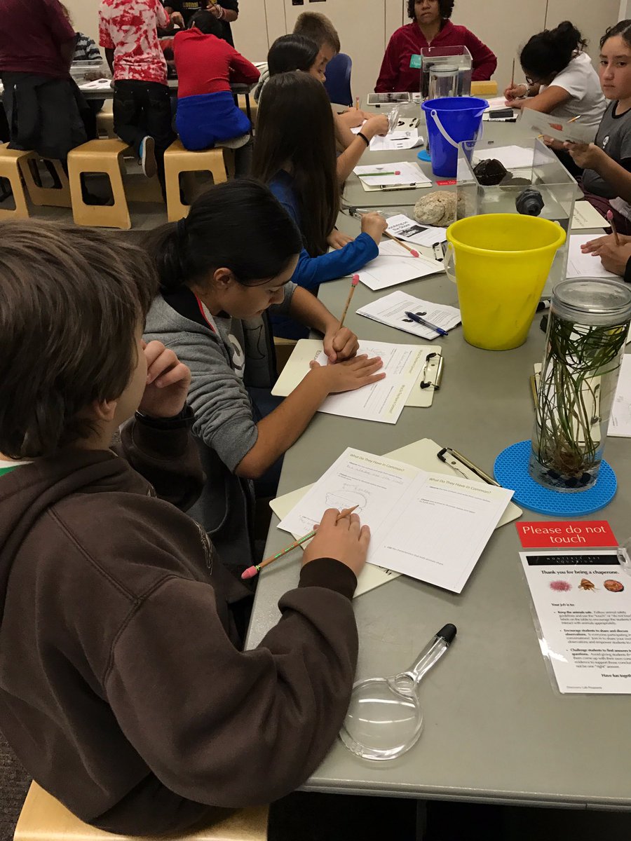 Bullard TALENT K-8 tweet media