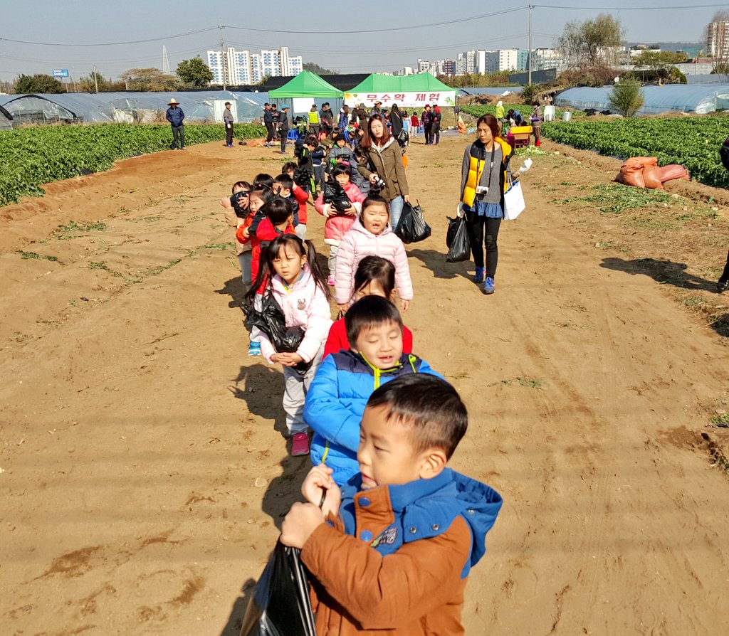 #성남시 #성남시민농원농사체험장

내가 뽑은 무가 제일 커요~~
무거워도 낑낑 야무지게 들고가요~~^^/

#성남시농업기술센터
#텃밭지도사