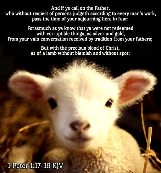 Bible Verses Kjv On Twitter: "1 Peter 1:19 Kjv But With The Precious Blood  Of Christ, As Of A Lamb Without Blemish And Without Spot:  Https://T.co/Q1Ltccqymr" / Twitter