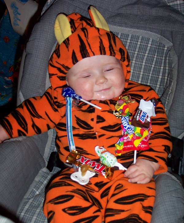 CallCriteria's tweet photo. If you're feeling a bit like this today, you probably shouldn't have eaten all your kid's candy!
#HalloweenHangover #qualitystillmatters https://t.co/J1vjxKHzio