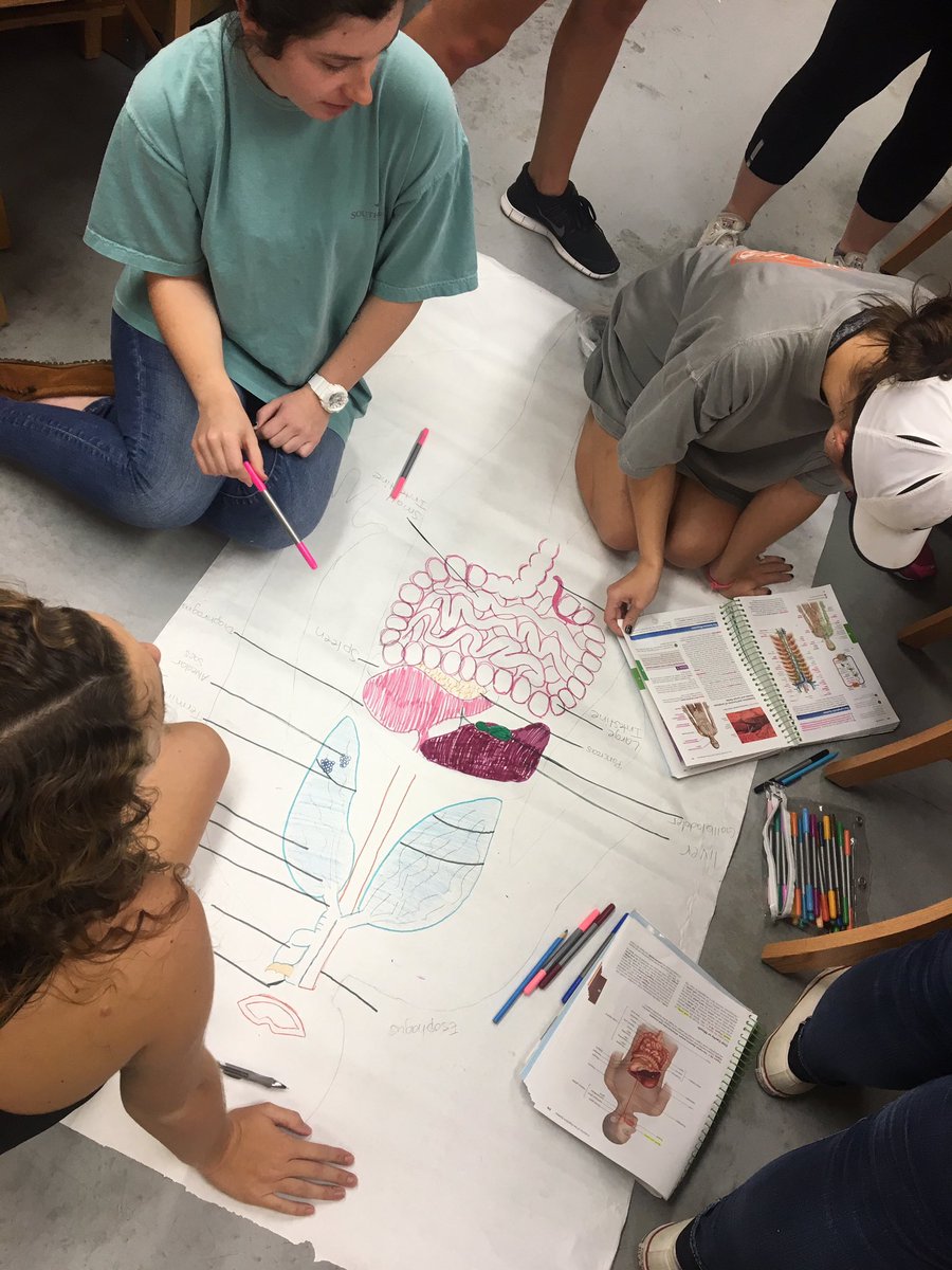Therealwatson00's tweet photo. Troy University students have a great time making diagrams of lymphatic, digestive and respiratory structures! #trojans #anatomy #nightclass https://t.co/JooTarjTB0
