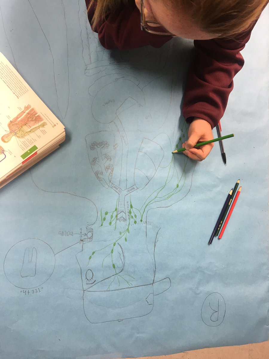 Therealwatson00's tweet photo. Troy University students have a great time making diagrams of lymphatic, digestive and respiratory structures! #trojans #anatomy #nightclass https://t.co/JooTarjTB0