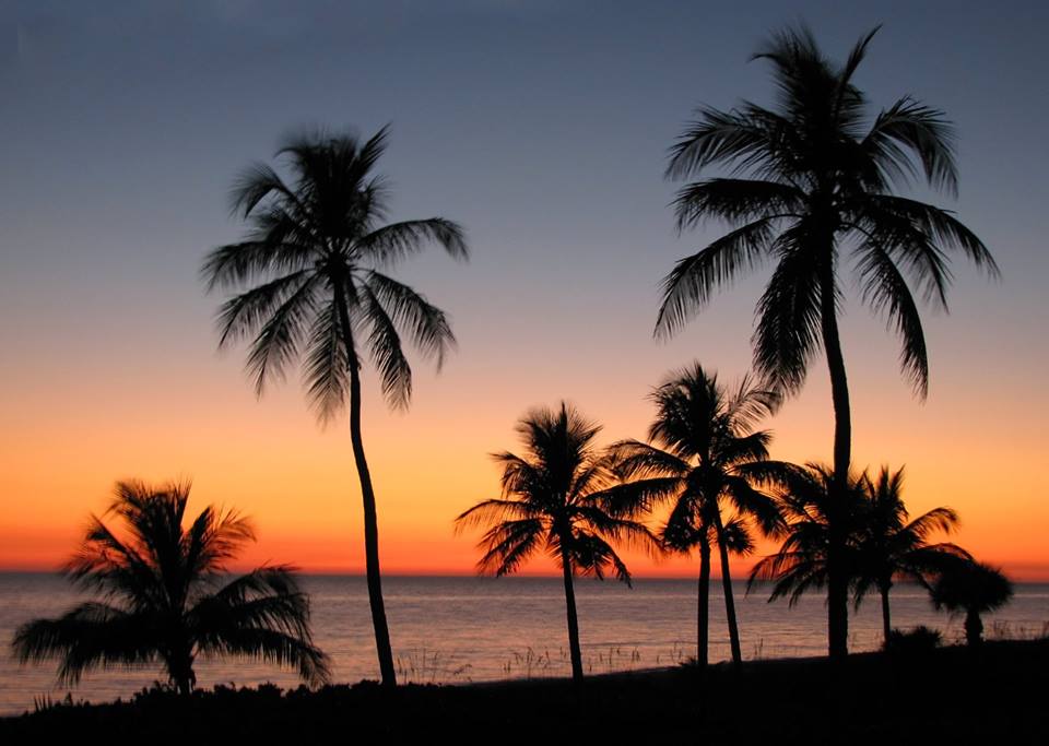 getpanachestaug's tweet photo. It's fall in Florida and the only color that we see on our leaves is the 
reflection of our beautiful sunsets! #florida #love #getpanache https://t.co/IsCvMBNt1D
