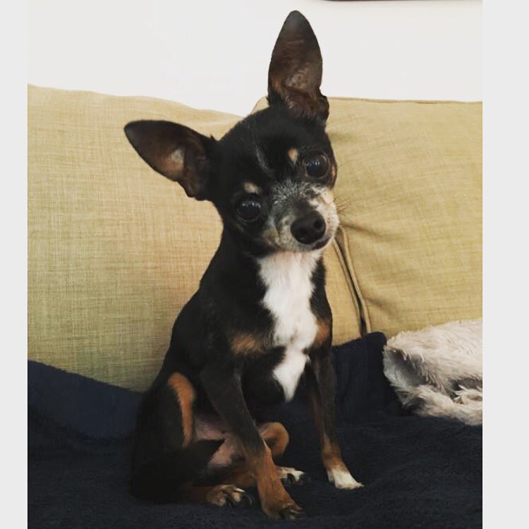 Mary Kathryn tweet media