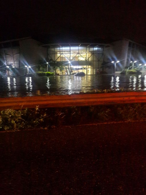 Ver imagen en Twitter