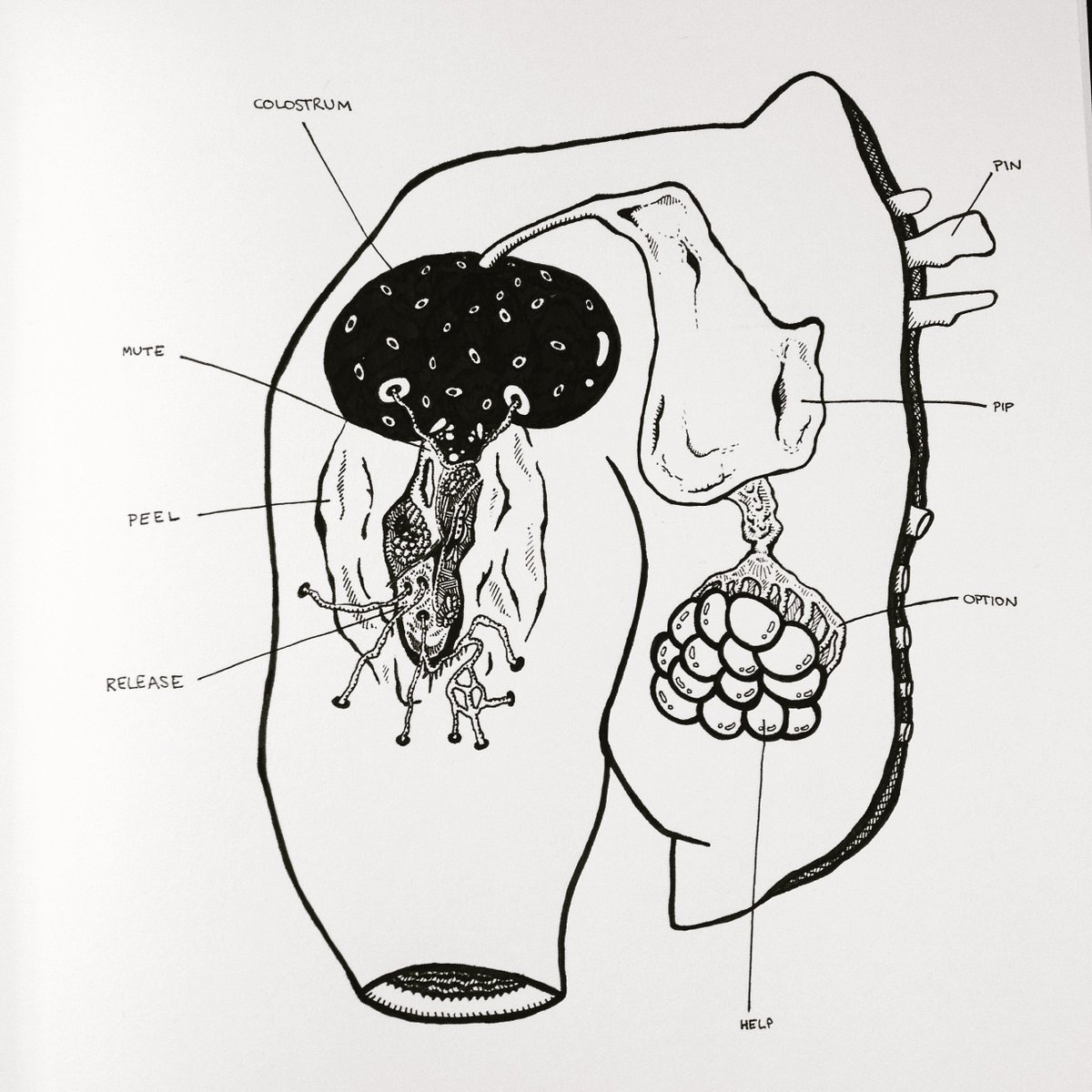 ProlapseBrainus's tweet image. Figure 1. Remote