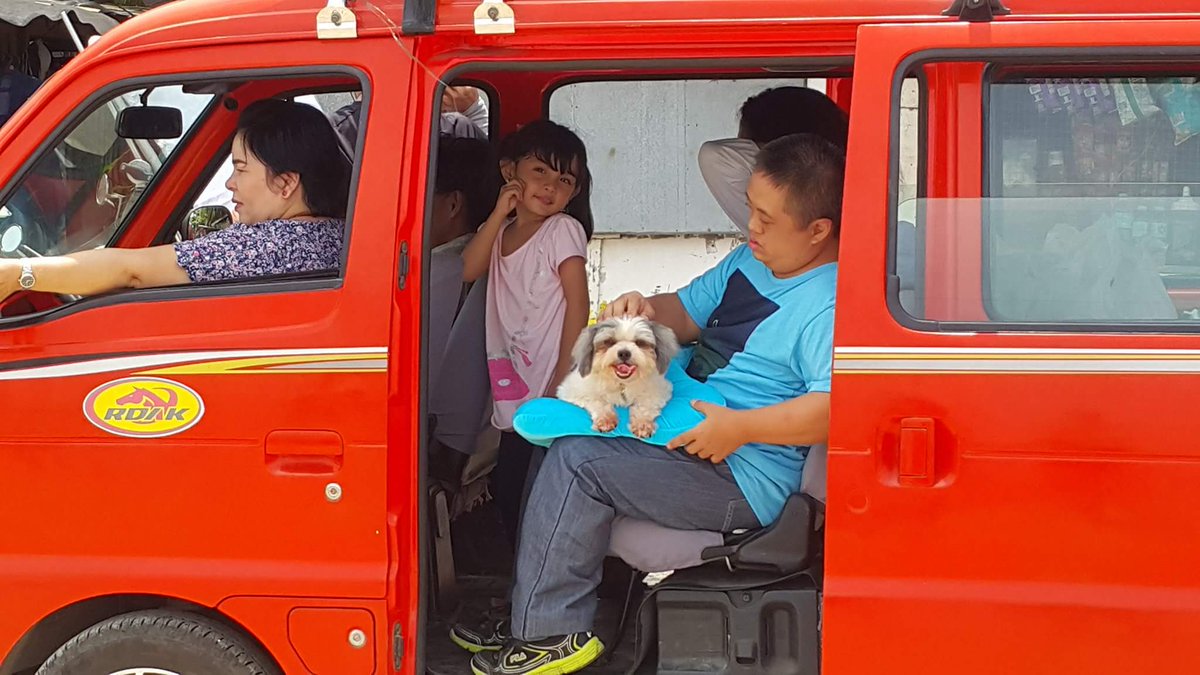 Sadie_Enriquez's tweet image. #hudas #hudasofpataynasihesus #pataynasihesus  #adventuresofprettysadie #sassypetscebu #qcinema2016