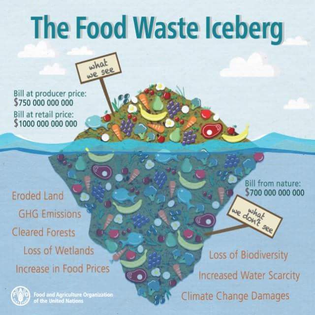 Жилд нийт хоол хүнсний 1/3 буюу 1.3 млрд. тонн хаягддаг. Өлсгөлөн, хомсдол бол хиймэл юм. Асуудал хүнд биш тогтолцоонд буй. #NotWasting