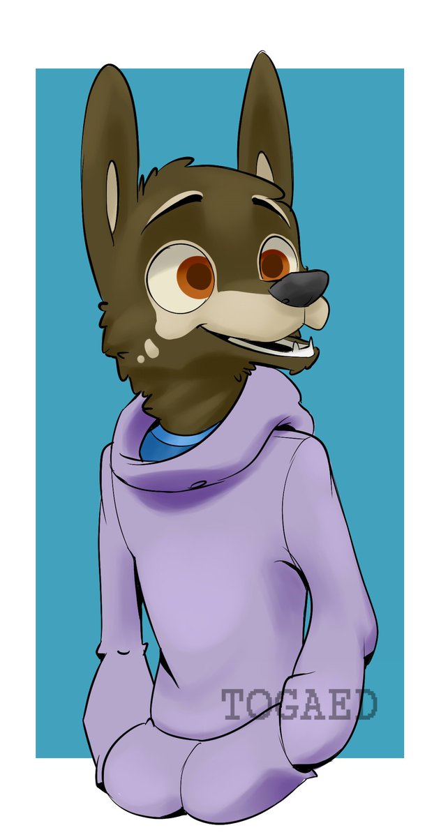 Todywoly tweet picture