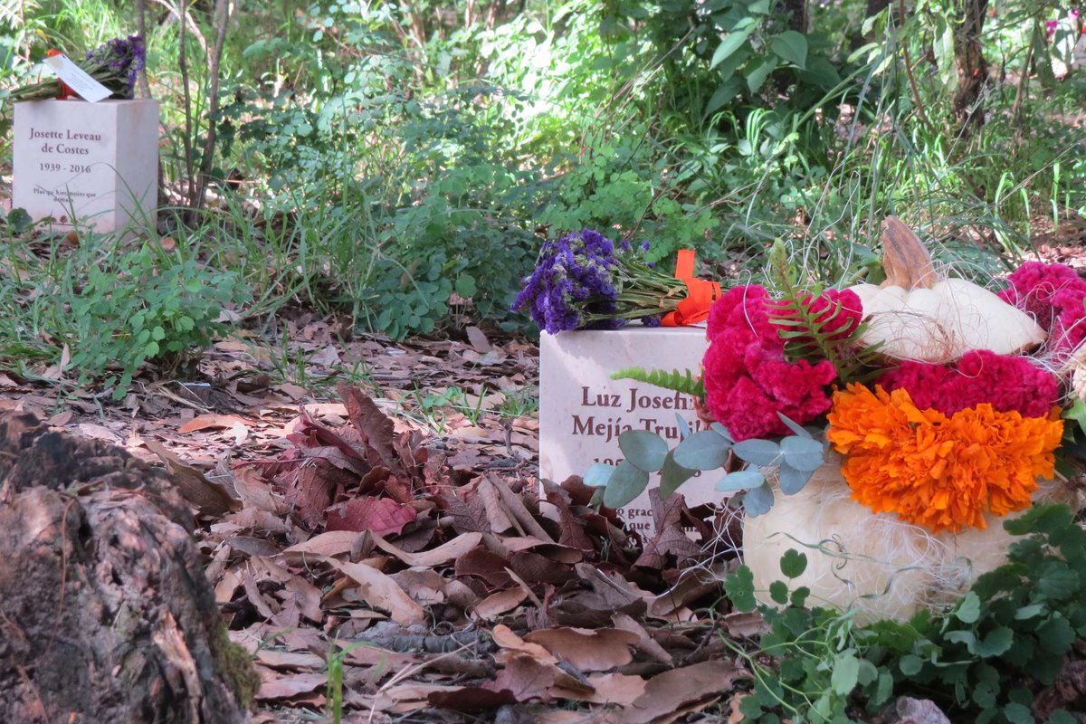 <a href="/BosqueEterno/">Bosque Eterno</a>, el cementerio verde donde el duelo se conjunta con la meditación y la introspección | goo.gl/Vv1x6p