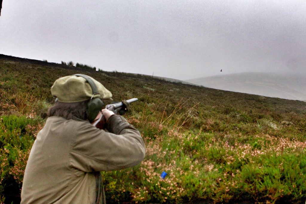 "Overwhelming support from MPs for grouse shooting" Read our summary of the #grouseshooting debate here: bit.ly/2eiE4ym