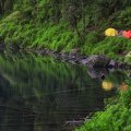 AndraAndreas20's tweet photo. Danau Gunung Tujuh mengaliri beberapa sungai di Jambi, salah satu alirannya bermuara di Sungai Batanghari. https://t.co/wSQECYIzIz https://t.co/Yd8PbvH8cU