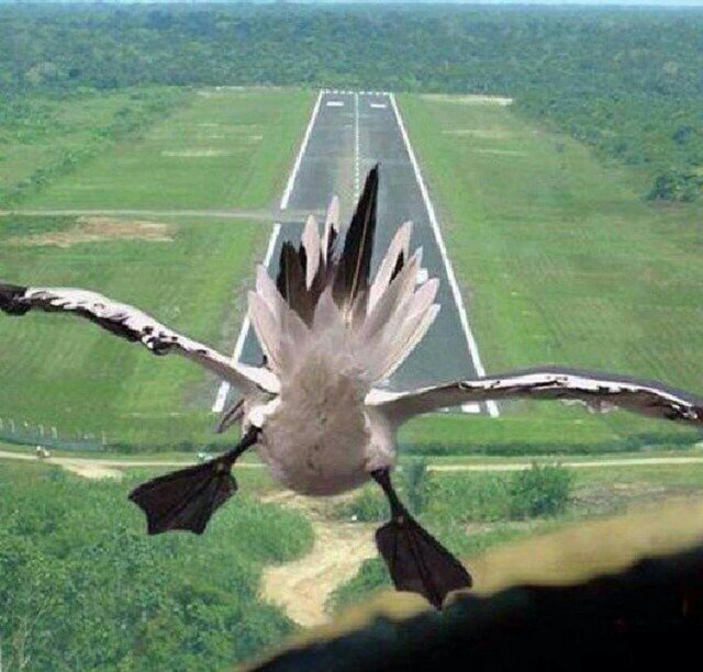 HUMOR.FM (@_humor_fm_) on Twitter photo 