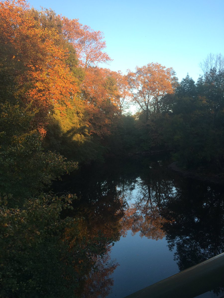 AikoGraziani's tweet photo. Djaaaaa Mercredi🙃😮#Occitanie quand tu me tiens#Bonne journée à tous😘🌞 https://t.co/Yiv1hAOOlt