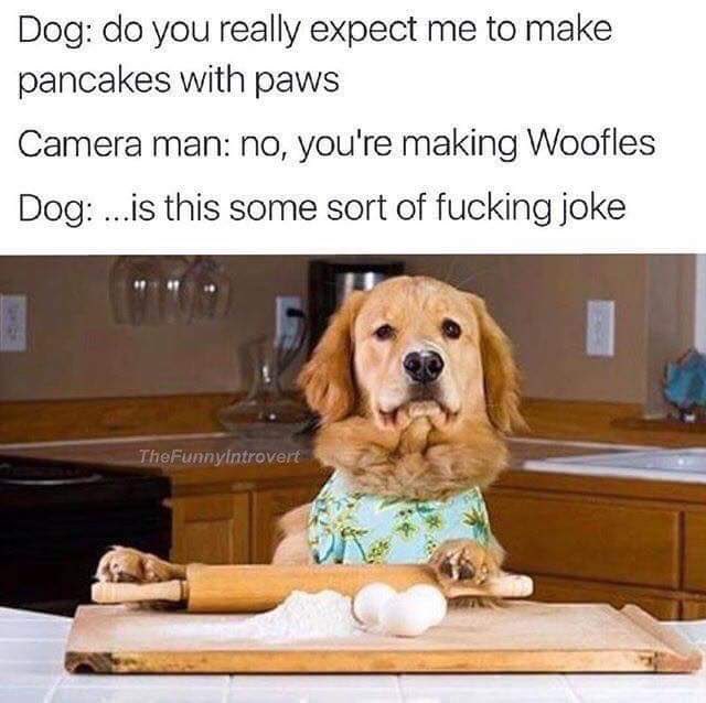 ZA Students tweet media