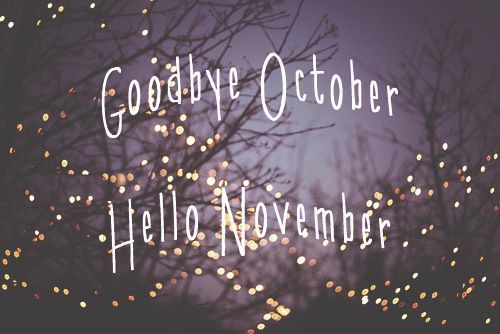 flywithkula's tweet photo. November Newsletter is here! https://t.co/wlu3JavCLR https://t.co/nrp5TSYDx3