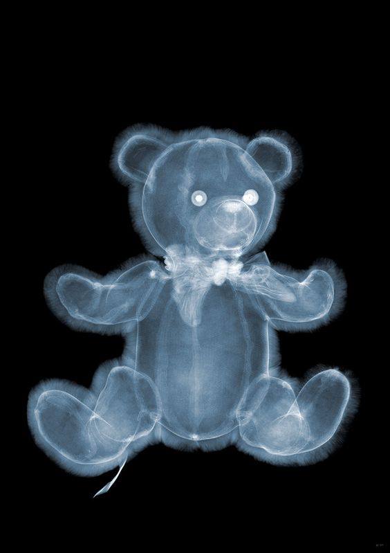 PIXELPLUSONE's tweet photo. Check out this xray photography by Nick Veasey.
#PixelPlusOne #Design #Designer #Illustration #GraphicDesigner #photography #art #digitalart https://t.co/HHvcebnGXp