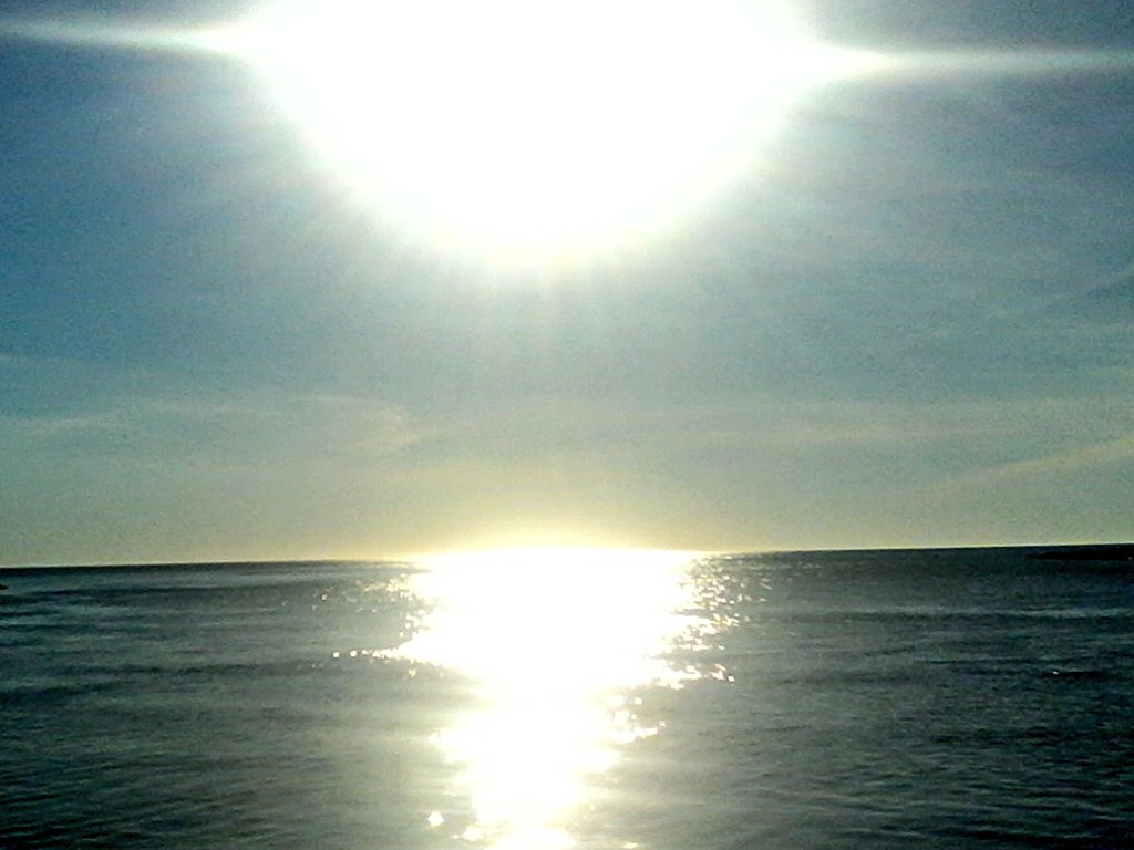 GlobalDoves's tweet image. Every Day Begins With New Opportunities... Make The Most of Your #DAY