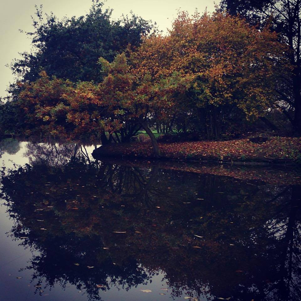 newdirection01's tweet photo. Autumn is certainly here
What a great time of the year to be sat by lake or river angling in peaceful surroundings. https://t.co/gy2uMe4GqD