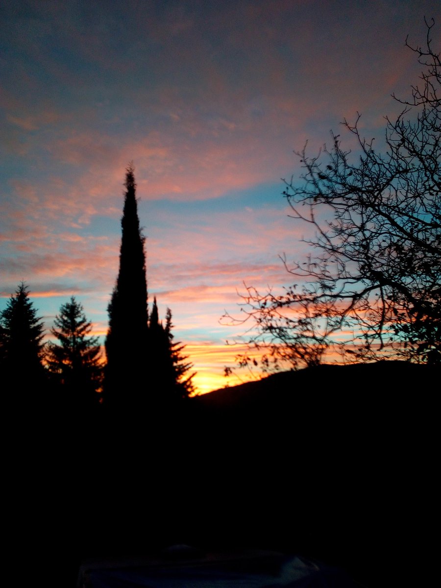 dinonora1's tweet photo. Bonjour🌞🍁🌞
Bonne journée
#MatinD'automne 💕💕 https://t.co/XnyYIh5b4k