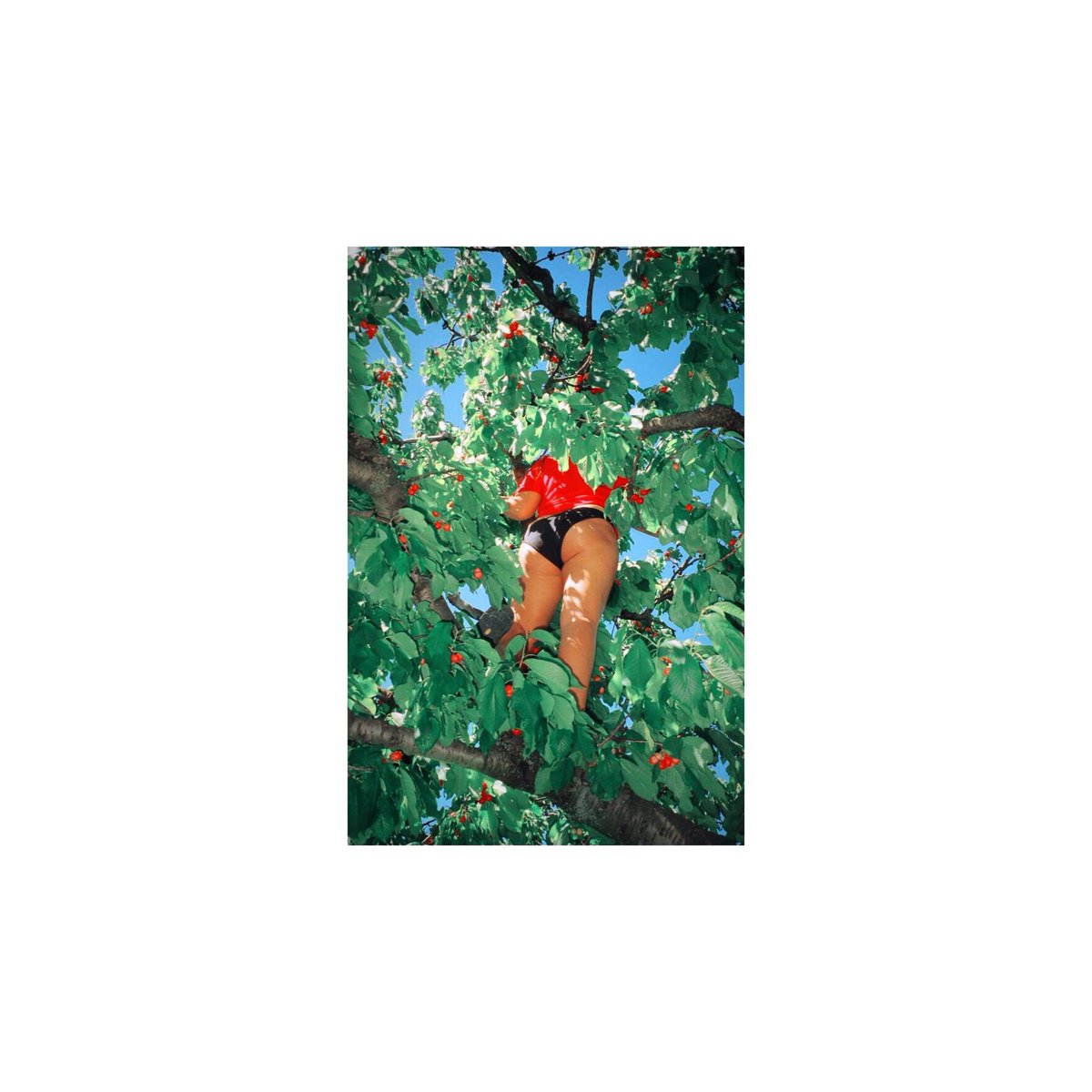Today's inspiration: girls and guns by #petracollins ✨✌️️✨