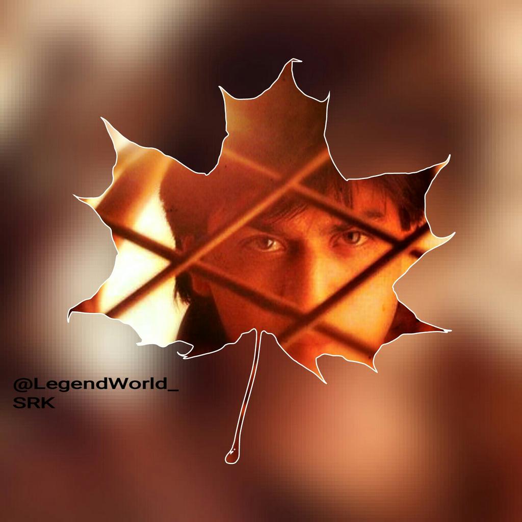 LegendWorld_SRK's tweet photo. @iamsrk #HappyBirthdaySRK @pramodsrkian Happy Birthday Love you So much😘😍❤Ssssshahrukh https://t.co/l9BcnZN2IC
