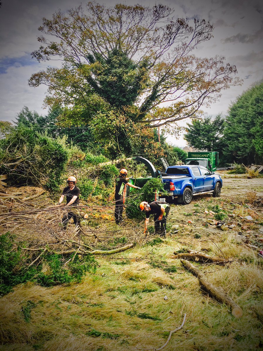 Site clearance in Newtownards yesterday, the Hilux enjoying a day off road!!