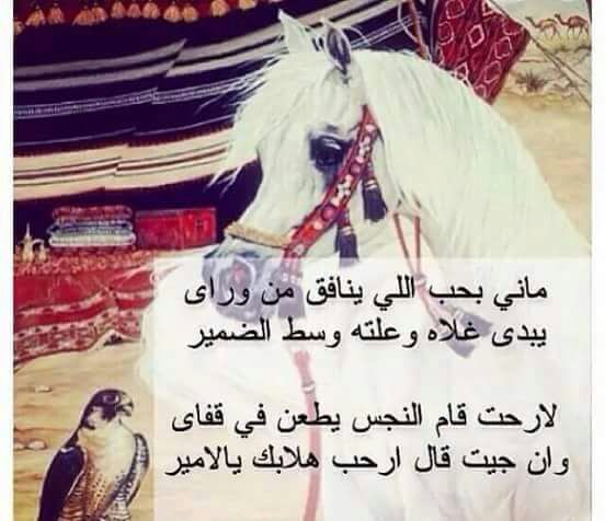 mohad4757's tweet photo. https://t.co/UbPmpGDMlL
