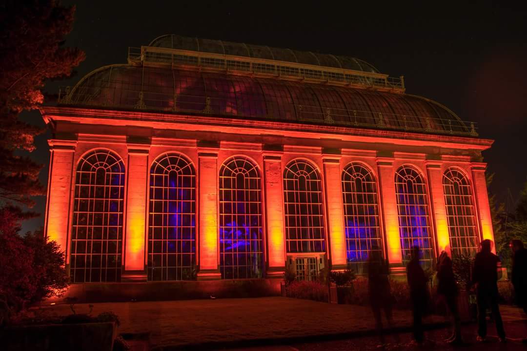 TheChaoticScot's tweet image. The @BotanicLights were AMAZING! Such a difference from last year. Truly magical 🌟 #Scotland #BotanicLights @STVEdinburgh @edinburghpaper