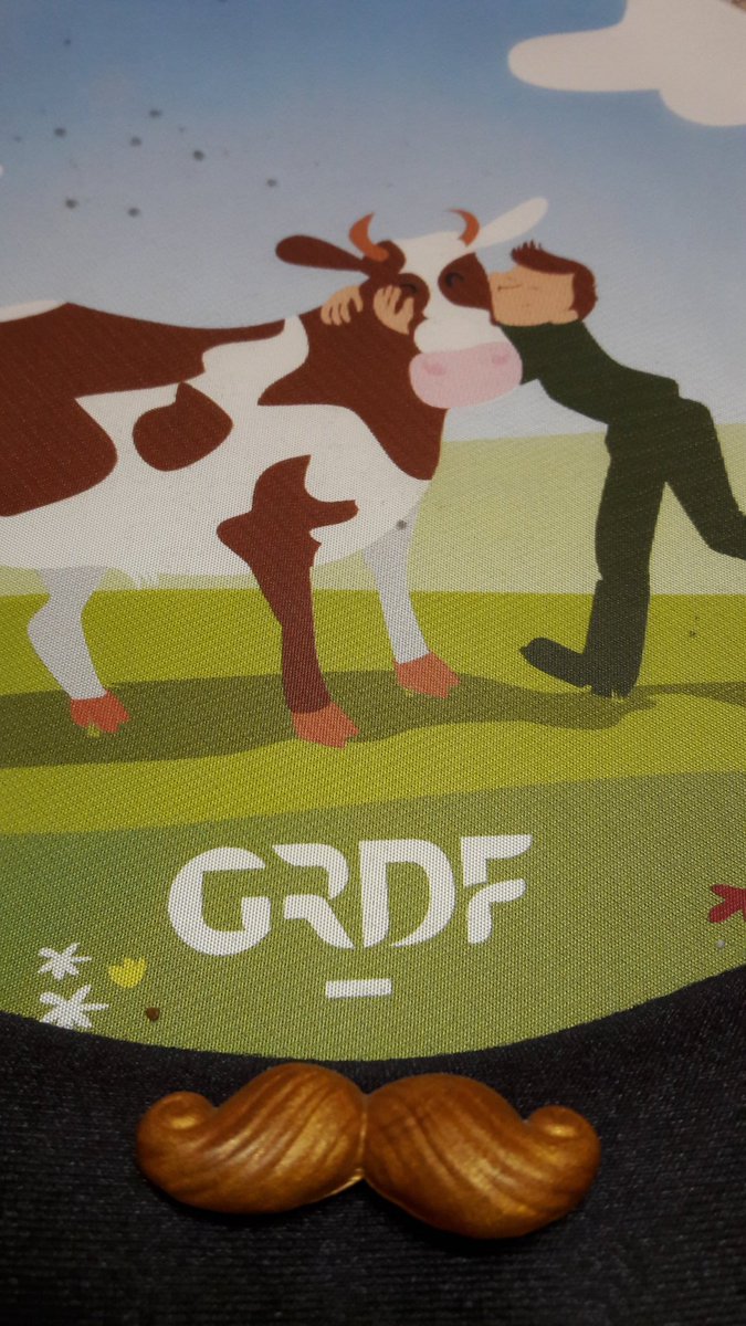 DominiqueCapel2's tweet image. #moteam.co/movingaz @GRDF Souvenir magique en 2015, Rdv le 7/11 à Condorcet pour l' édition 2016 ? @SauvageEdouard @PA_TERRAS