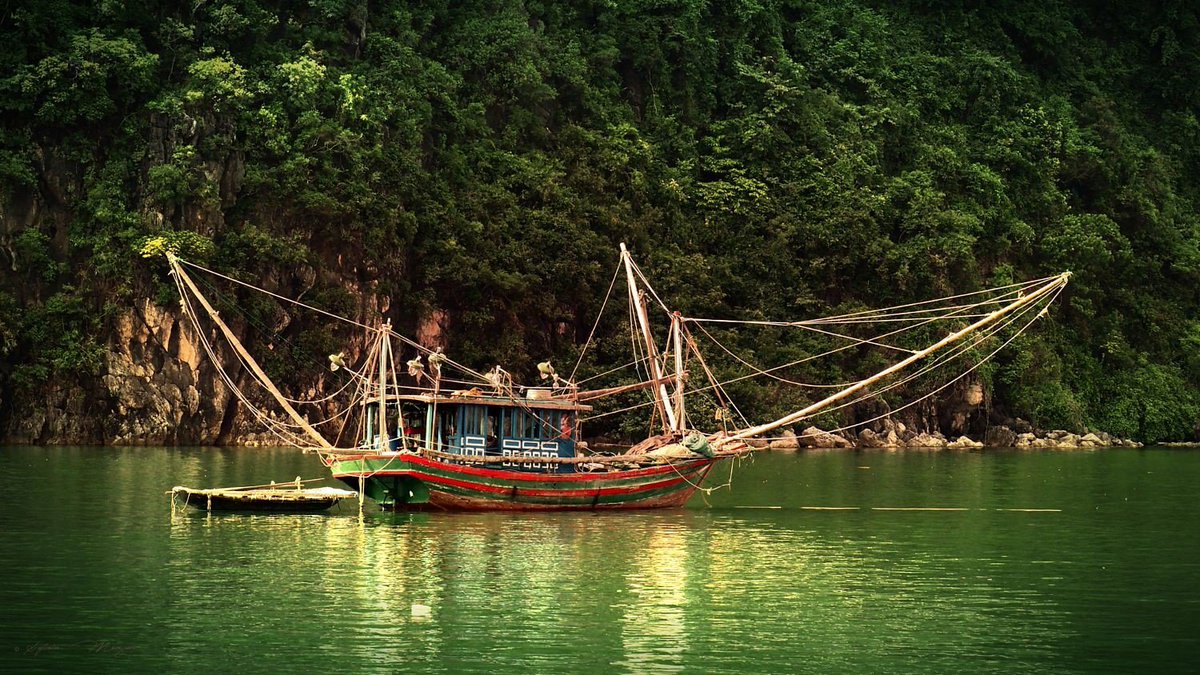 halongsapatour's tweet photo. Fishing boat.....in Halong Bay
#fishingvillage #halongbay #vietnam https://t.co/efk5ppxUeJ
