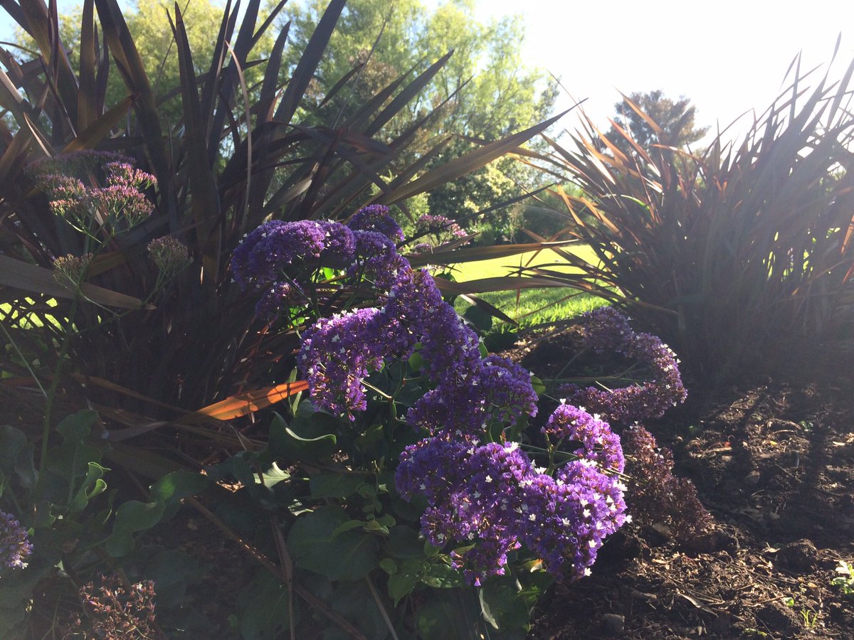 True splendor of lush gardens <a href="/Villatarentaal/">Villa Tarentaal</a>