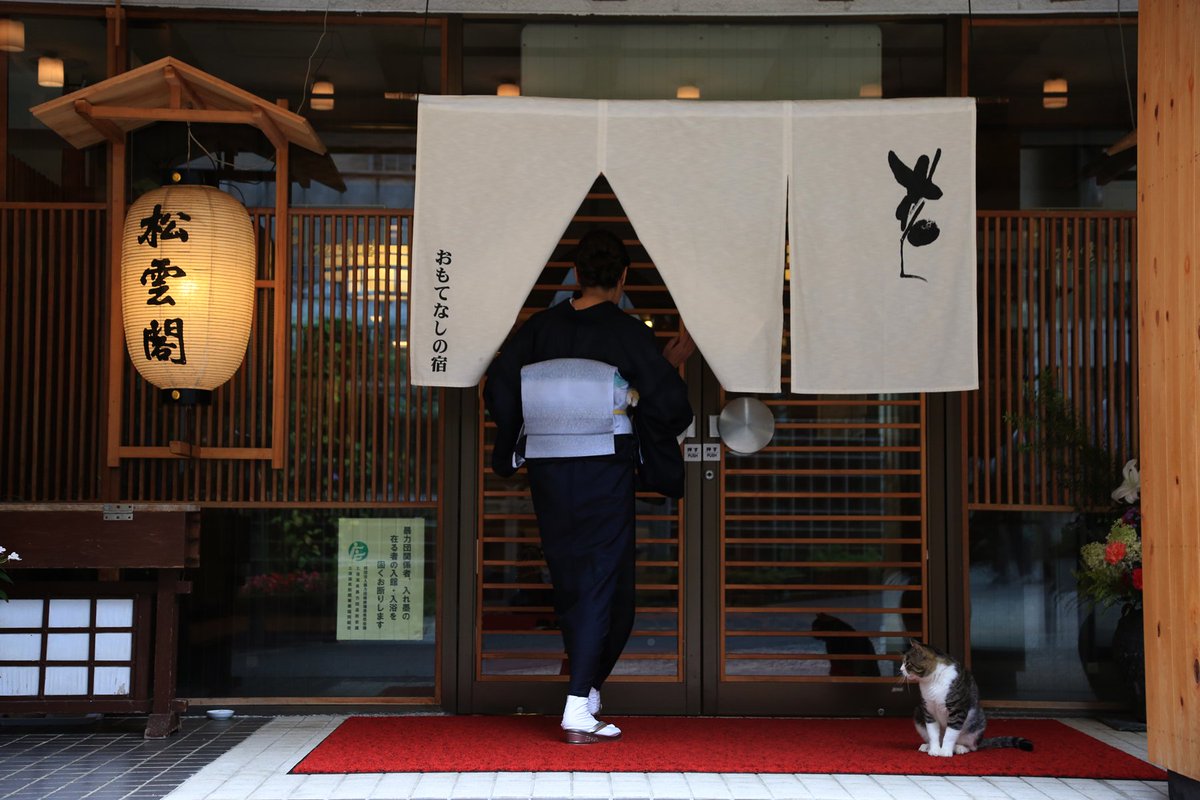松雲閣 福島市土湯温泉の 松雲閣 でございます 看板猫のいるペットと一緒に宿泊できる宿 よろしくお願い致します 松雲閣 土湯温泉 土湯 温泉 旅館 観光 福島 ペットと泊まれる宿 むぎちゃんまめちゃん