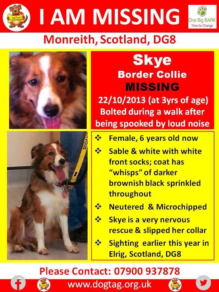 Skye (@findskye) on Twitter photo 