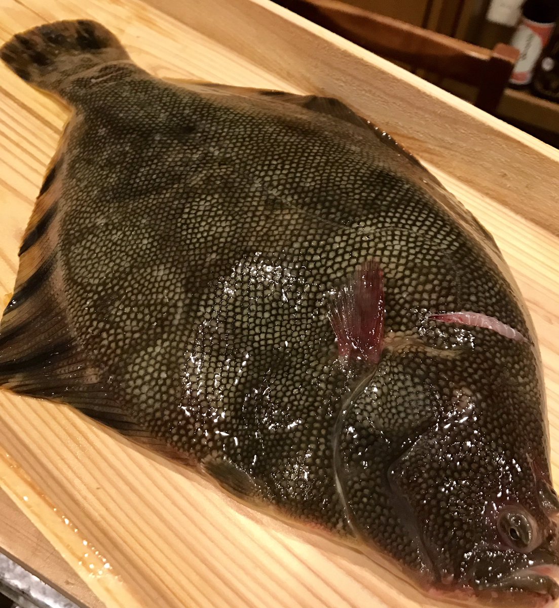 お酒菜やさん En Twitter 11 2 水 本日の相方は洋子さんです お勧めは松皮カレイです 活け締めなので 迫力ある弾力です 味わい深いカレイの王様を是非 ちなみにヒラメより値段は上です 牡蠣鍋 白子 アン肝もありますよ 松皮カレイ 鍋 白子