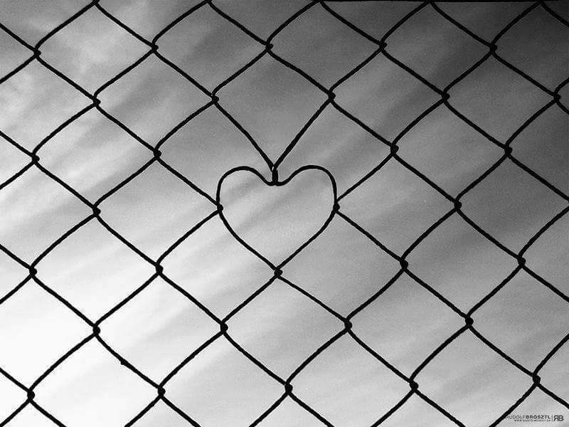 Des mots, des mots ....

              Mais le silence du cœur...