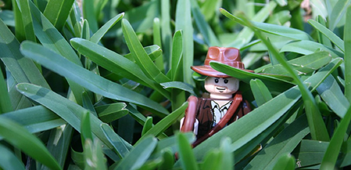 osh_solutions's tweet image. Onze nieuwe Salesforce blog staat op de website: It’s a jungle out there! osh.nl/osh-home/#blog
#Salesforce #jungle #Blog #Appexchange