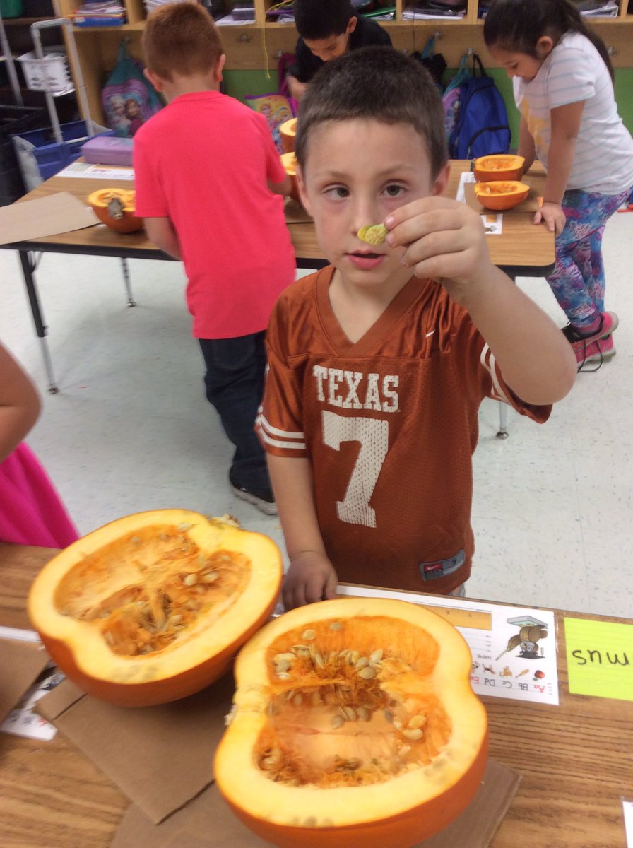 ms_delancey's tweet photo. Pumpkin Investigations https://t.co/w7kKNTfXTo
