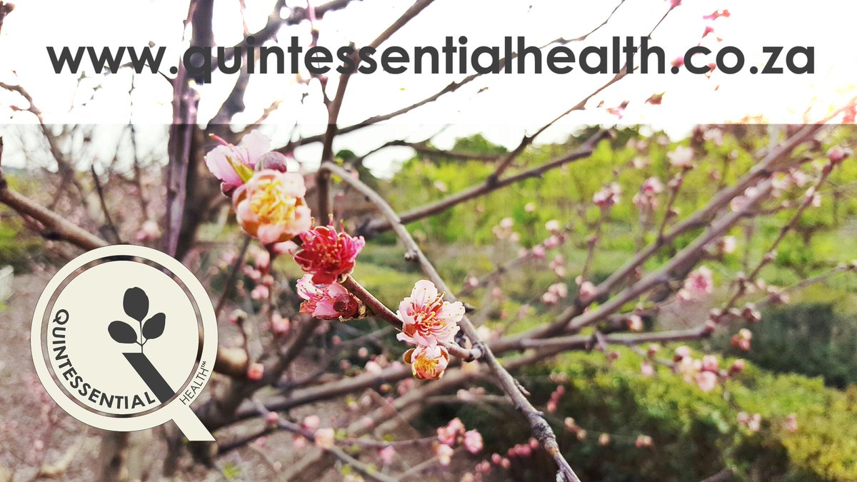 QuintHealth_SA's tweet photo. We love #nature and keeping things real! 
Stay close to nature with #natural #health - check out our website:
https://t.co/xyvPFoXsk5 https://t.co/gLSkTGBExA