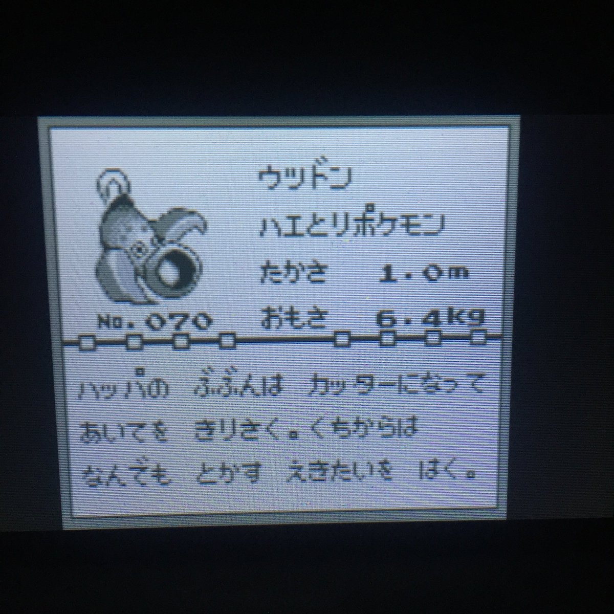 アヤァ オブ ザワールド Di Twitter つかまえたポケモン ケーシィ ユンゲラー コイズミ ウツドン ウツボット うどん コイキング ギャラドス コハクヌシ ポケモン緑 ポケモン サン ムーン ポケモン アヤァ オブ ザワールド Di Twitter つかまえたポケモン ケーシィ ユンゲラー コイズミ ウツドン ウツボット うどん コイキング ギャラドス コハクヌシ ポケモン緑 ポケモン サン ムーン ポケモン