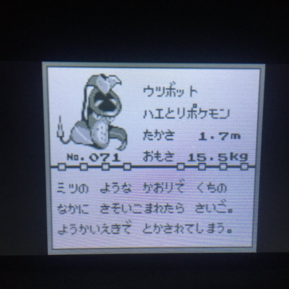 アヤァ オブ ザワールド Di Twitter つかまえたポケモン ケーシィ ユンゲラー コイズミ ウツドン ウツボット うどん コイキング ギャラドス コハクヌシ ポケモン緑 ポケモン サン ムーン ポケモン アヤァ オブ ザワールド Di Twitter つかまえたポケモン ケーシィ ユンゲラー コイズミ ウツドン ウツボット うどん コイキング ギャラドス コハクヌシ ポケモン緑 ポケモン サン ムーン ポケモン