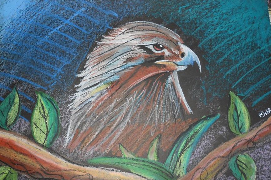artistonomia's tweet photo. #Bazz Ki #nazar !
#myart #begineer #artistonomia #art #Artist #drawing #painting #oilpastels #blacksheet #color #colorful #masterpiece #love https://t.co/oZb1A9SvOd
