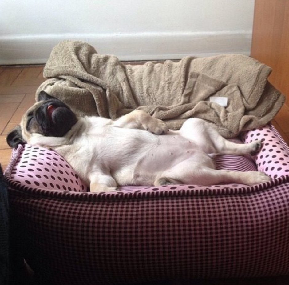 Ligoteo_Web's tweet photo. yo cuando llego a casa de clase https://t.co/Qmh60jW9ea