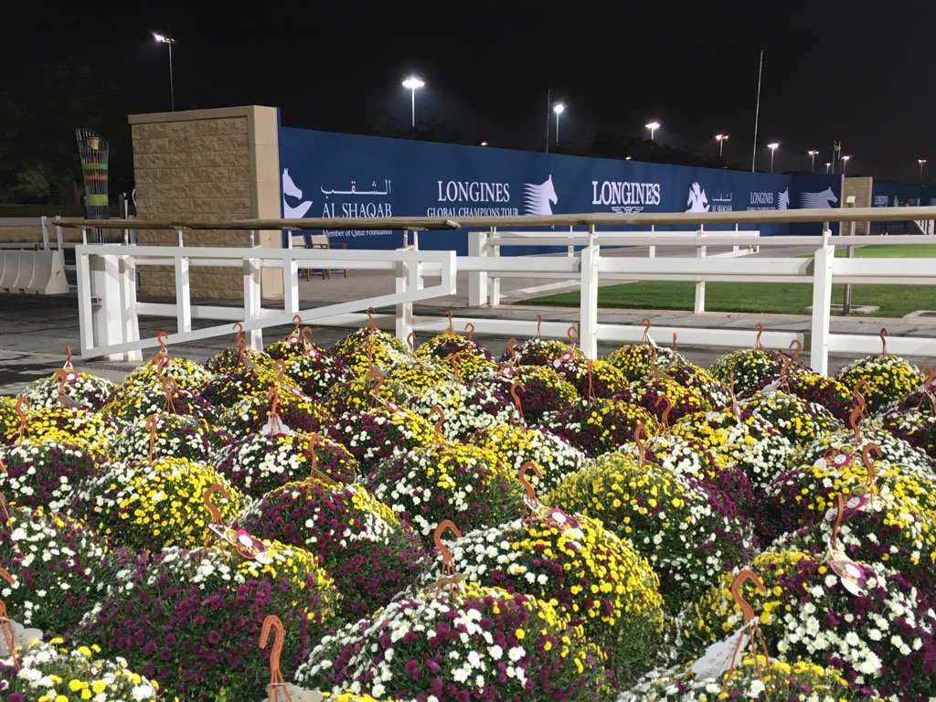 qtrbion's tweet photo. @qatarday @AlShaqab @GCT_events Floral elements for Longines Global Champions Tour, Al Shaqab, Doha, 3-5 Nov 2016 https://t.co/fFrRN61mWQ