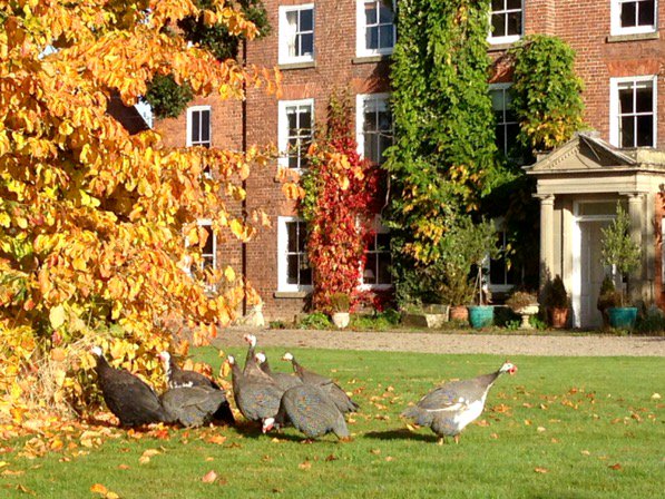 The Isle Estate tweet media