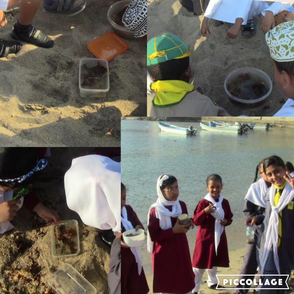 رحلة صفية منهجية لطلاب الصف الرابع ب الى شاطئ سدح لتطبيق عملي درس ( موطن طبيعي مائي )
أ/ امل فؤاد
أ/سنيه عبدالله
#سدح