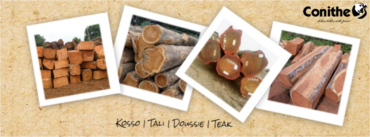ConitheLimited's tweet image. #Tali #Teak #Doussie #Kosso #Timber #Supplier #Wood #Nigeria #Africa #Ghana